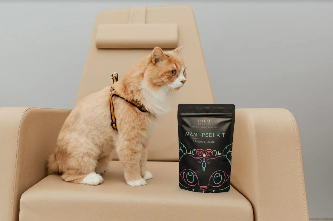 Embracing Compassion in Skincare Dr. Elie’s Journey towards Ethical Beauty