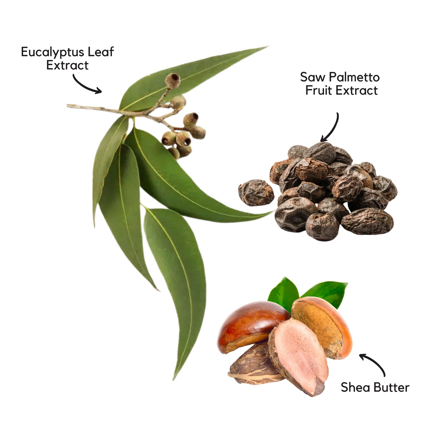 Persian Herbs Purifying Conditioner 300 ml