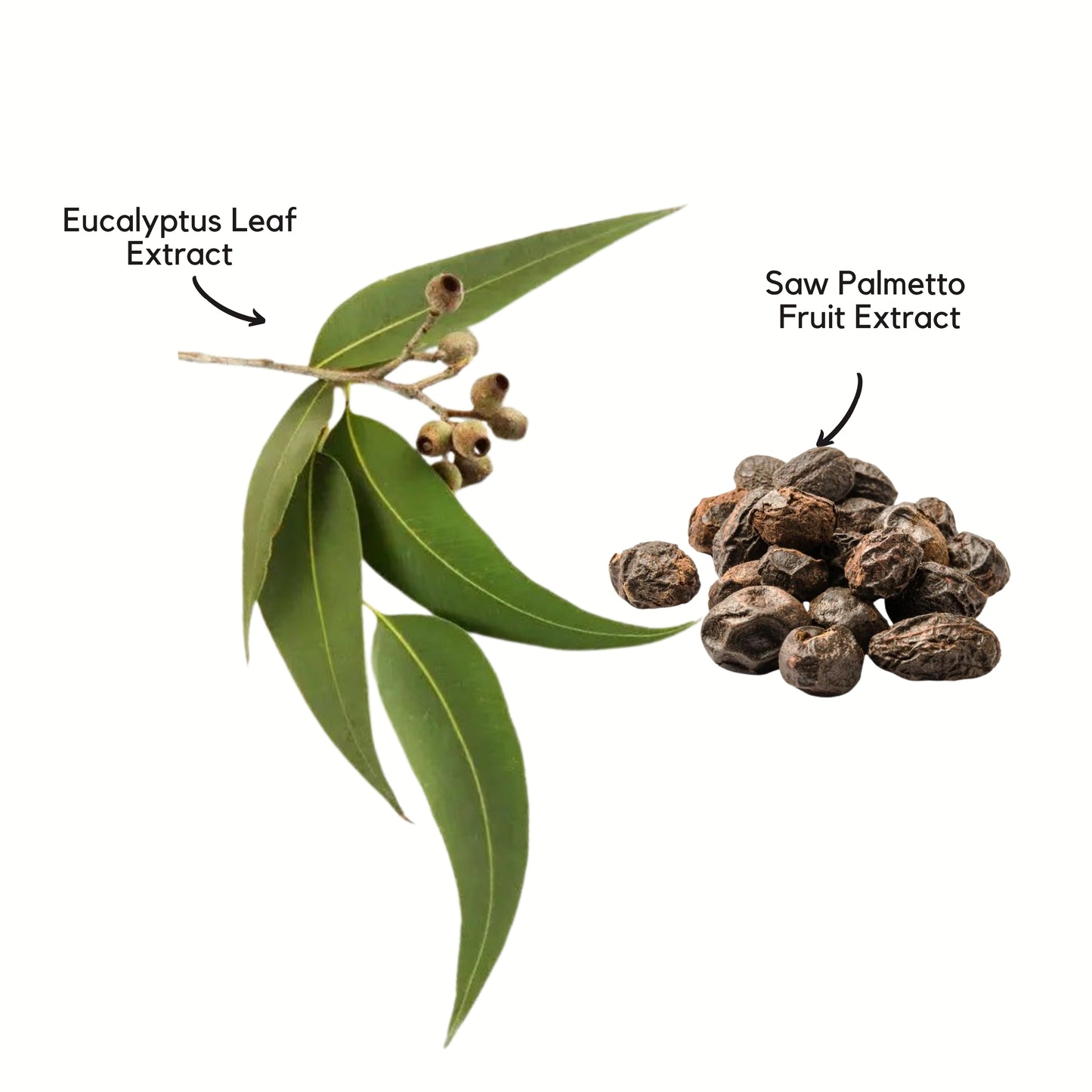 Persian Herbs Purifying Shampoo 300 ml