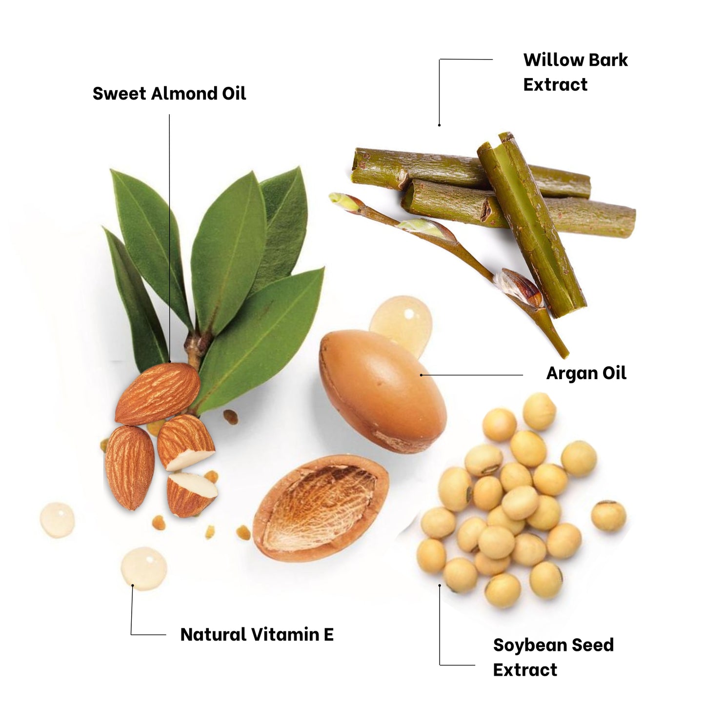 Absolute Freshness After Shave 100 g