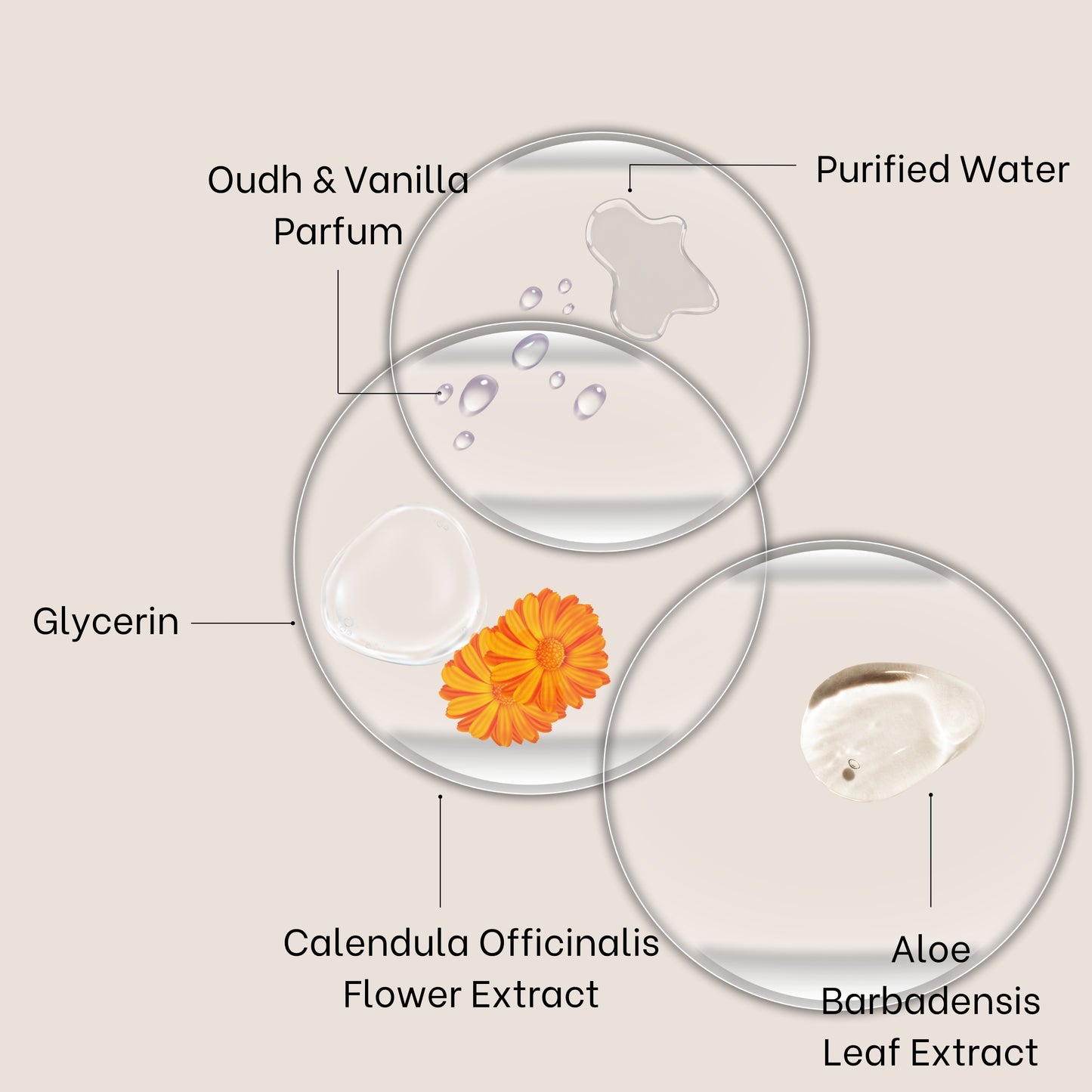 Oudh & Vanilla Hair & Body Mist 60 ml