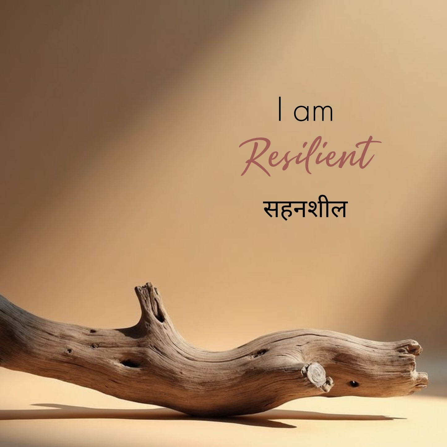 Moisturizing Conditioner 300 ml