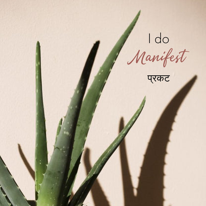 Hydrating & Moisturizing Aloe Vera Gel