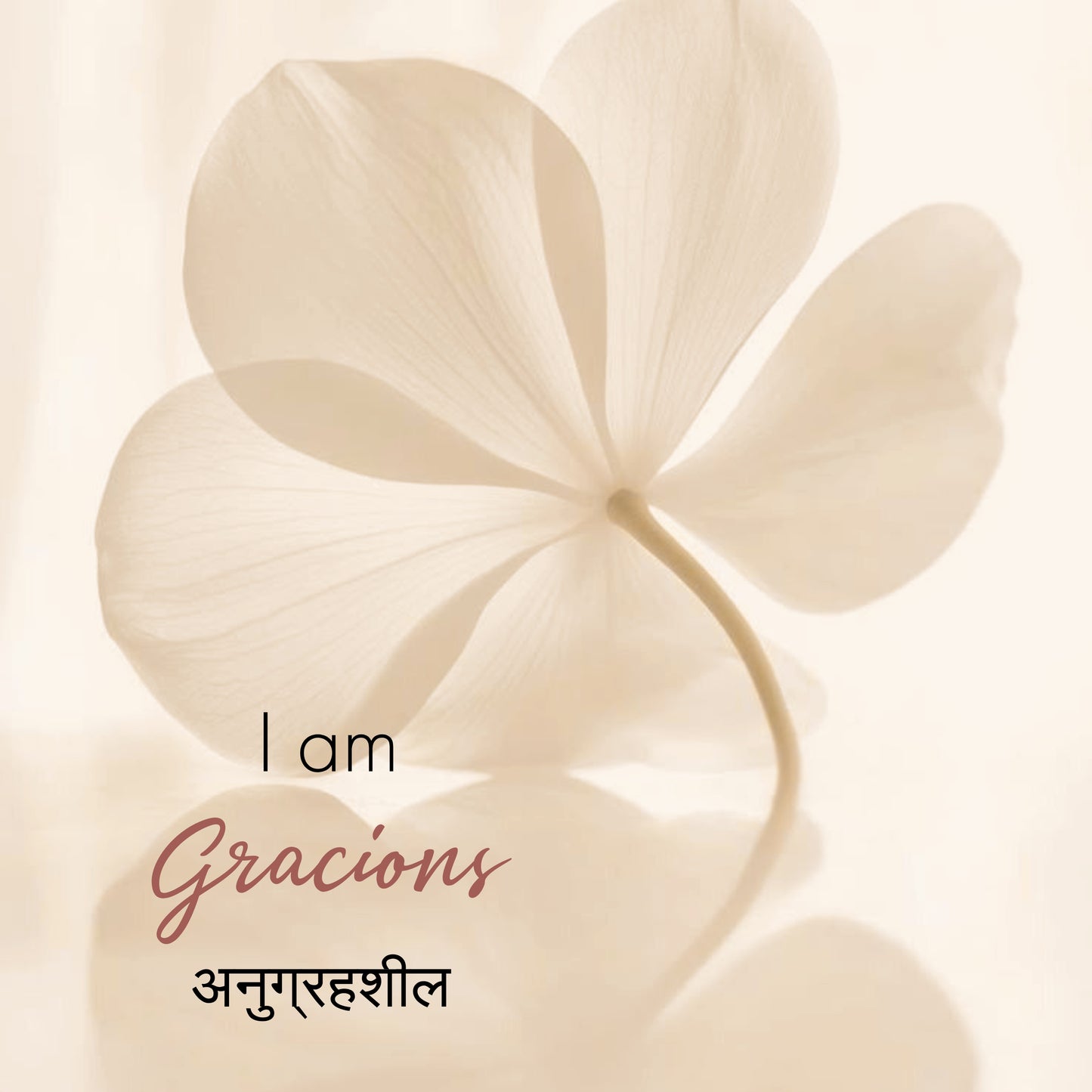 Damage Defence Before Shave Oil 50 ml