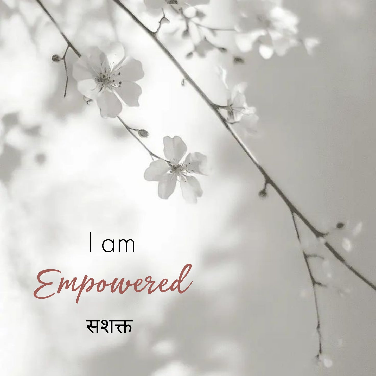 Hairstyling Clay 50 g